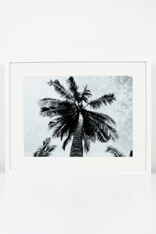 DIY Art: Creating Your Own Framed Tropical Prints - Printable Wall Art, IKEA, Frames, Prints, Printables, Inexpensive, Custom, Art, Palm Trees, Palms, Make Your Own Art, Print Your Own Art, Framing Printable Art, Gold Leaf Vases, White and Gold, Black and White, Royalty-Free