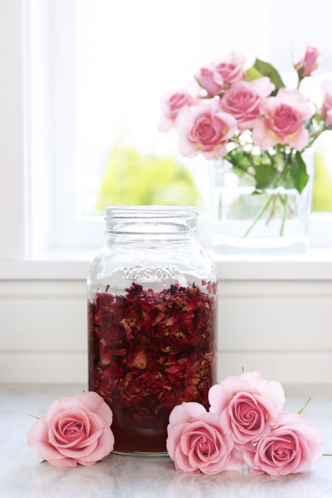 Jar of rose petal vinegar with pink roses