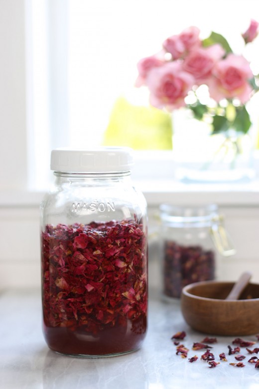 Rose petals infusing into vinegar in glass jar