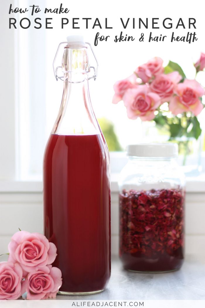 Rose Petal Vinegar for Skin & Hair (+ Ways to Use It) A Life Adjacent