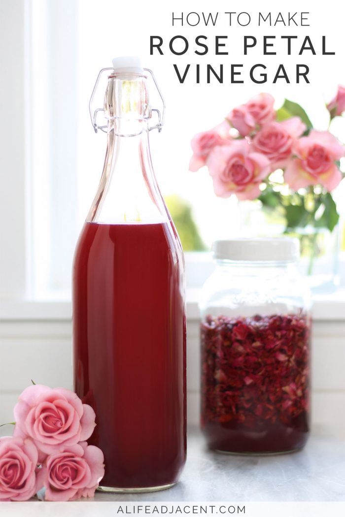 Rose Petal Vinegar for Skin & Hair (+ Ways to Use It) A Life Adjacent