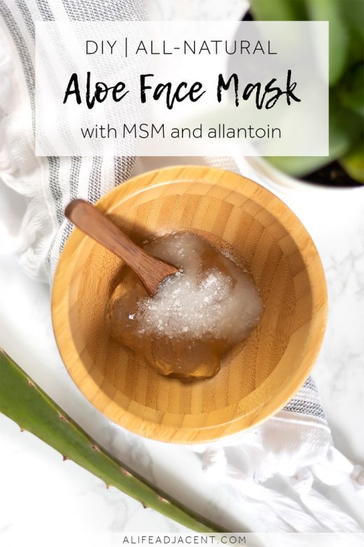 Diy Aloe Vera Face Mask For Glowing Skin A Life Adjacent