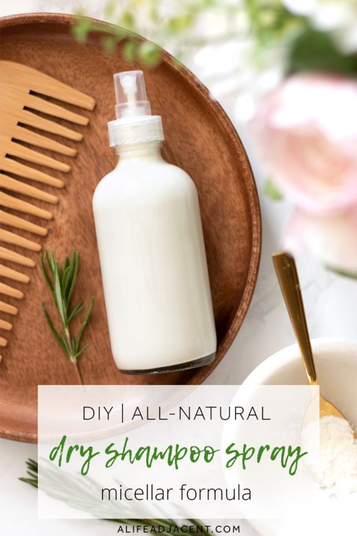 Hysterisk Bagvaskelse en million DIY Dry Shampoo Spray (Micellar Formula) - A Life Adjacent