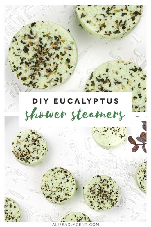 Eucalyptus DIY shower melts with essential oils and menthol.