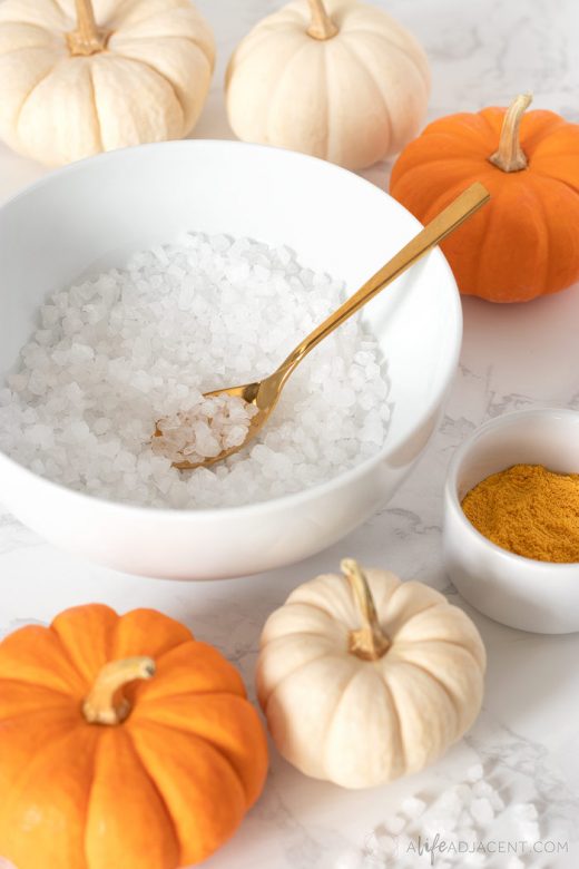 Ingredients for pumpkin spice bath soak recipe