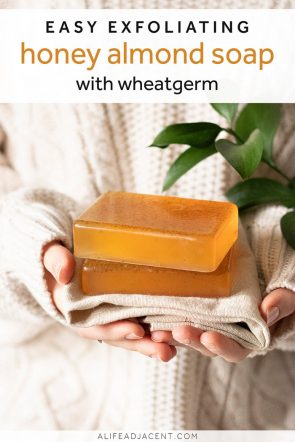 DIY Honey Almond Soap with Wheatgerm - A Life Adjacent