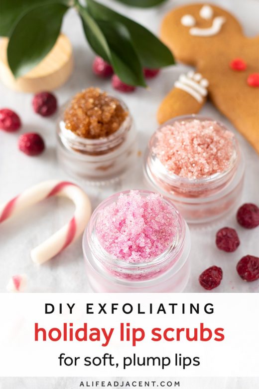 DIY holiday lip scrubs: gingerbread, cranberry and candy cane