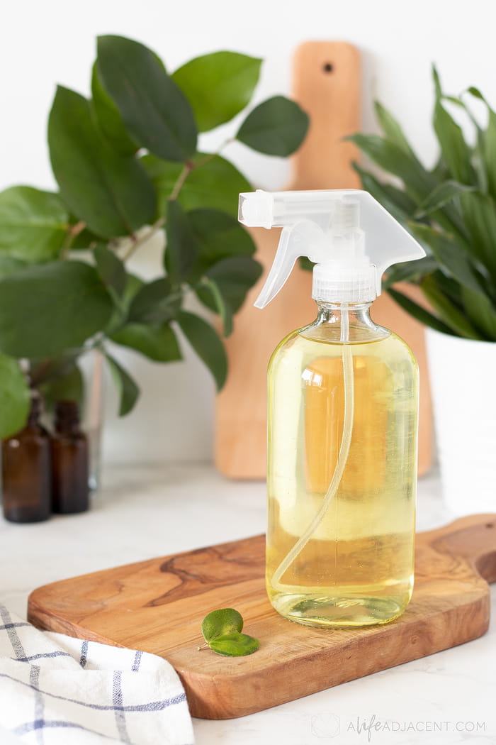 DIY Disinfectant Spray without Rubbing Alcohol - A Life Adjacent