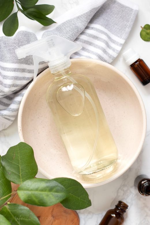 DIY disinfectant spray without vinegar
