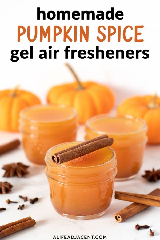 Pumpkin spice gel air fresheners
