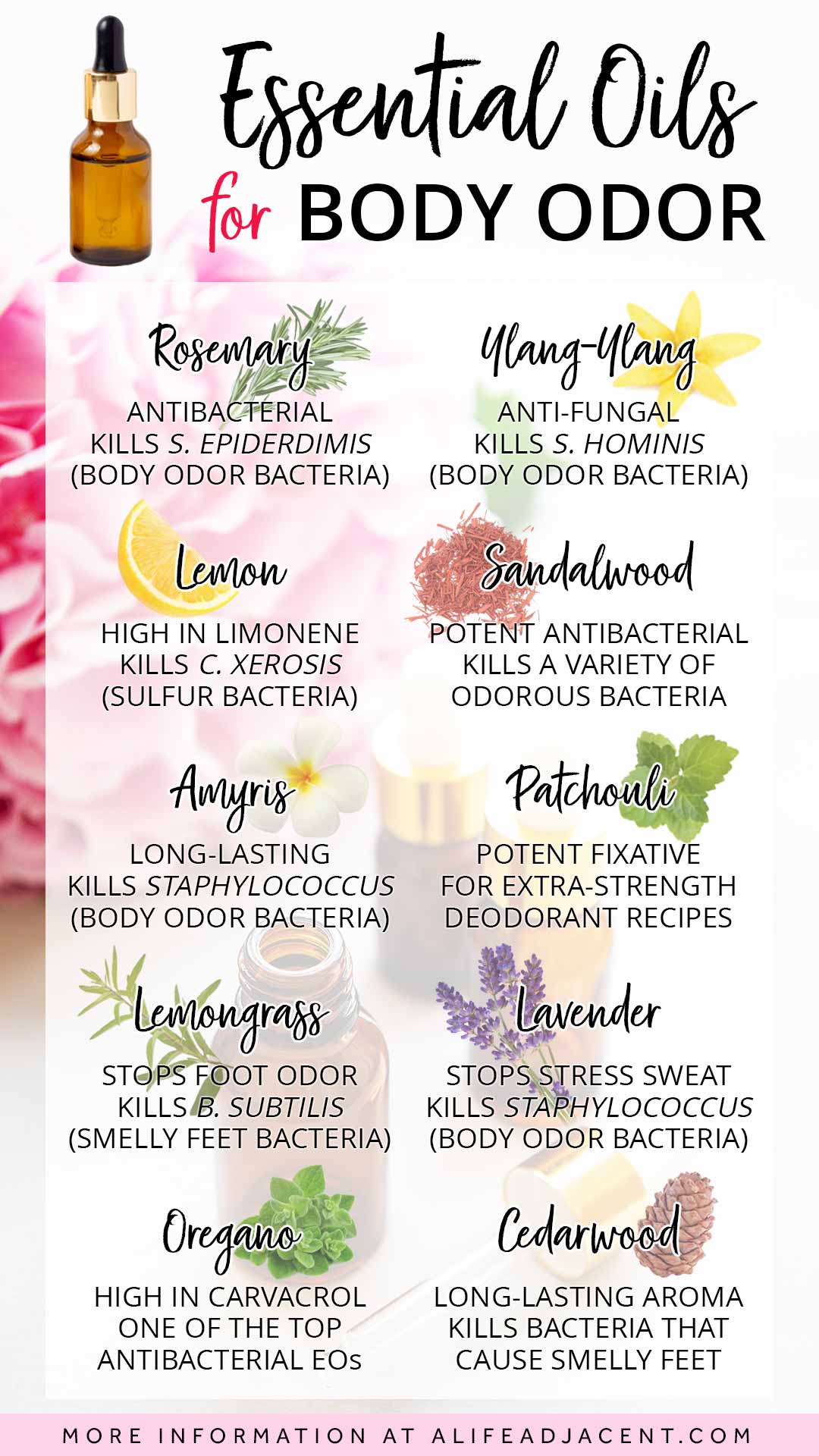 Essential oils for body odor infographic.