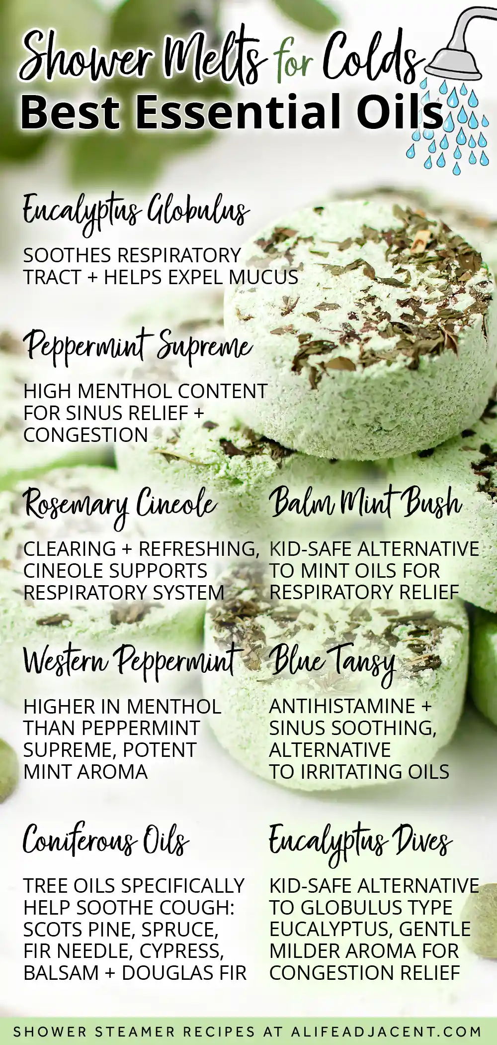Shower Melts for Colds &ndash; Best Essential Oils Infographic Image