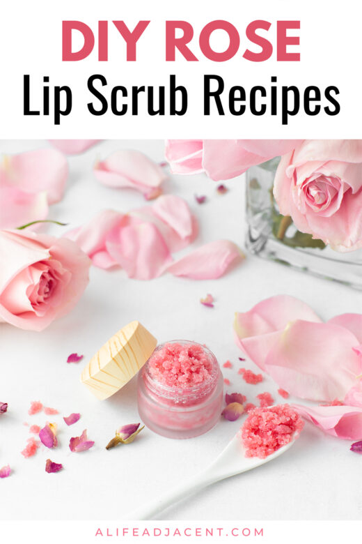 DIY rose lip scrub recipe.