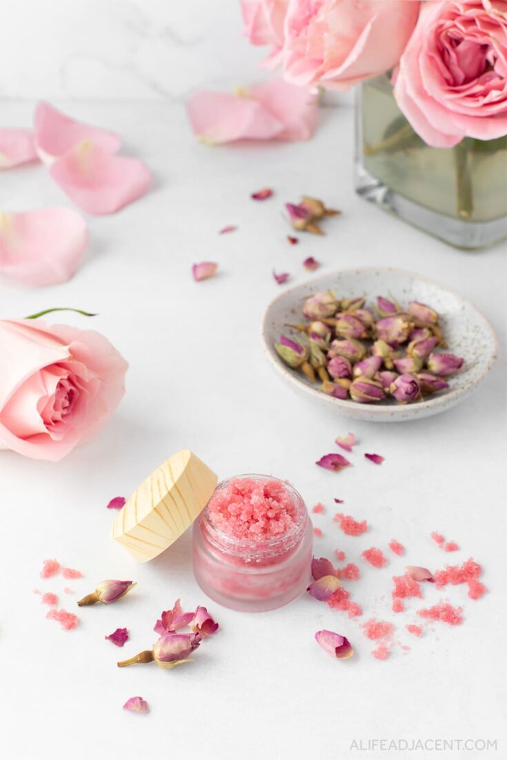 DIY Rose Lip Scrub (4 Recipes) A Life Adjacent