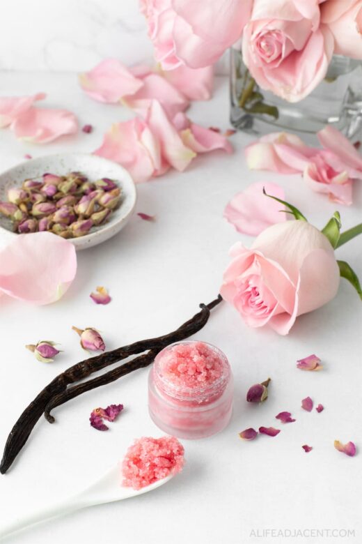 Rose vanilla lip scrub with rose petals and vanilla beans.