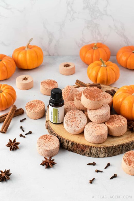 DIY shower melts with essential oil and pumpkin spice.