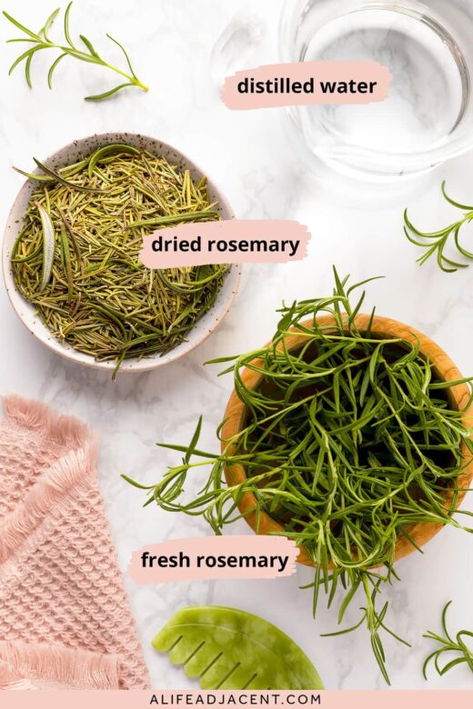 Rosemary water recipe ingredients – dried and fresh rosemary leaves and distilled water in beaker.