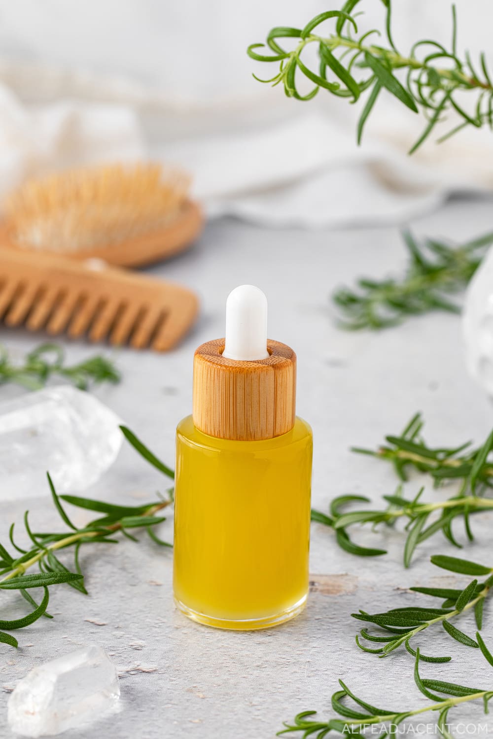 Rosemary oil for hair made with dried rosemary leaves