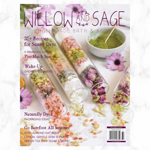 Willow and Sage Magazine Cover Image by A Life Adjacent