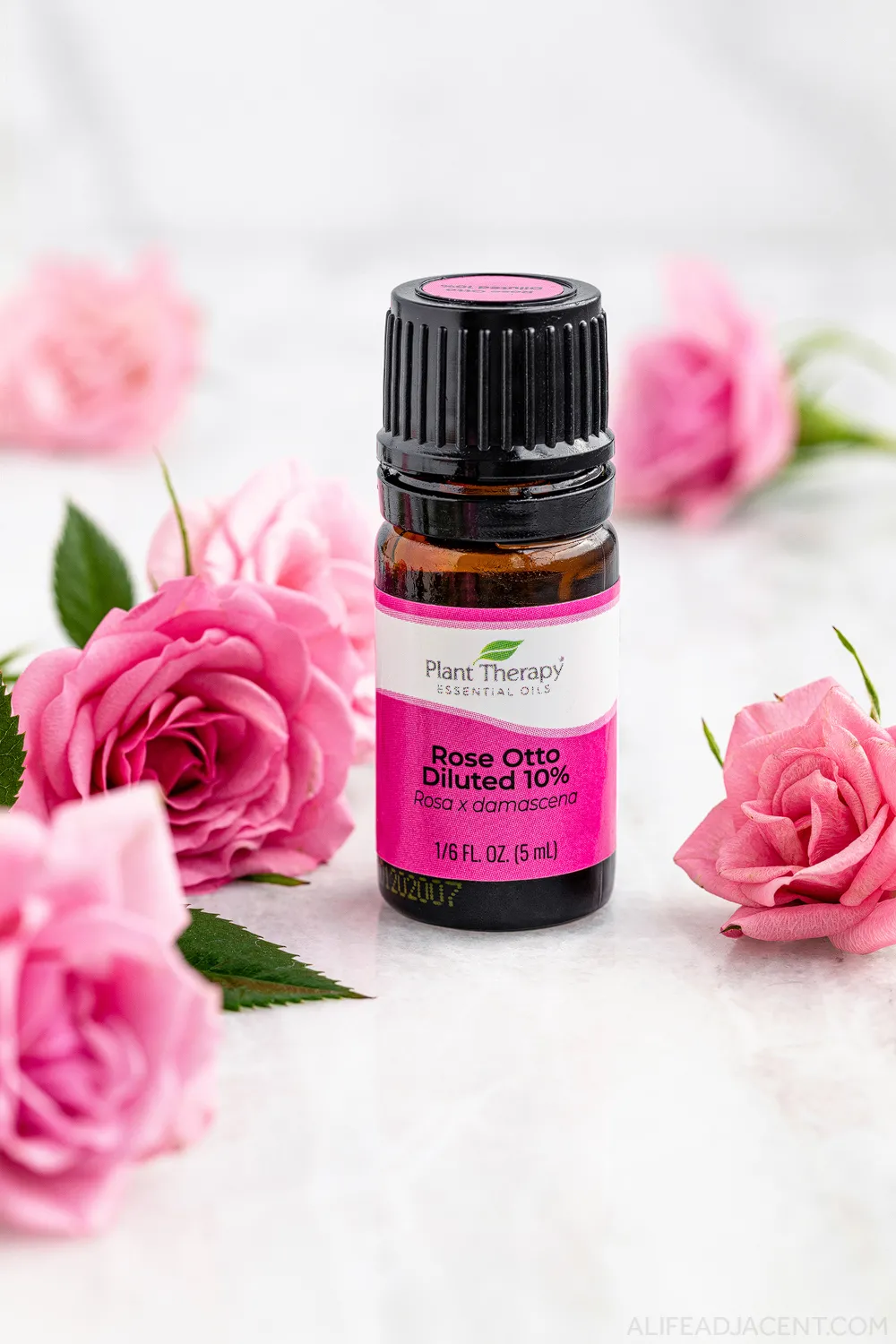Rose essential oil bottle surrounded by pink roses.