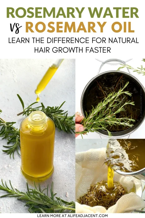 Rosemary Oil vs Rosemary Water: Learn the Difference for Natural Hair Growth Faster.
