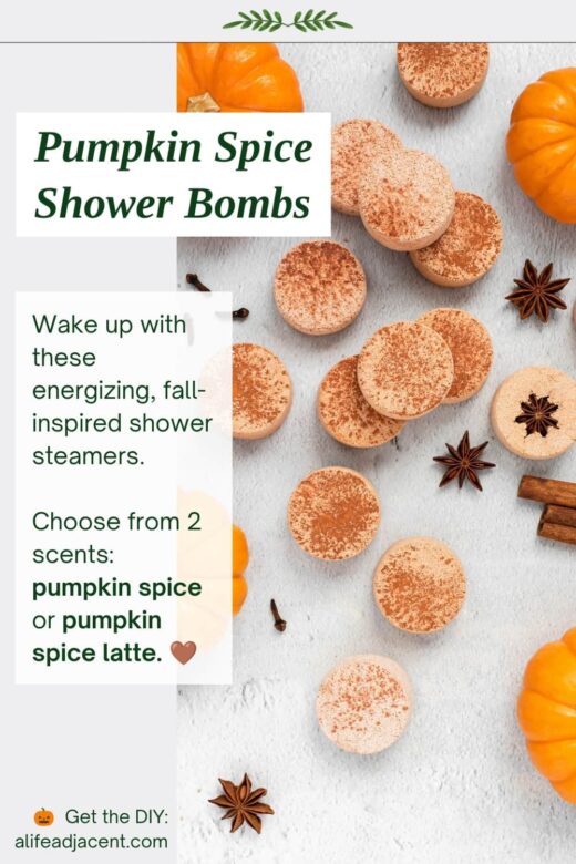 Pumpkin spice essential oil shower bombs sprinkled with cinnamon and surrounded by miniature pumpkins, cloves and star anise. Text reads &ldquo;Pumpkin Spice Shower Bombs&rdquo; and describes energizing fall-inspired shower steamers available in pumpkin spice and pumpkin spice latte scents.